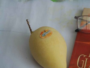 gioi-thieu-2