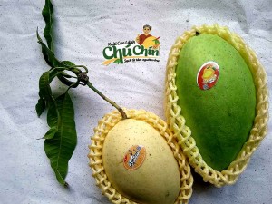 gioi-thieu